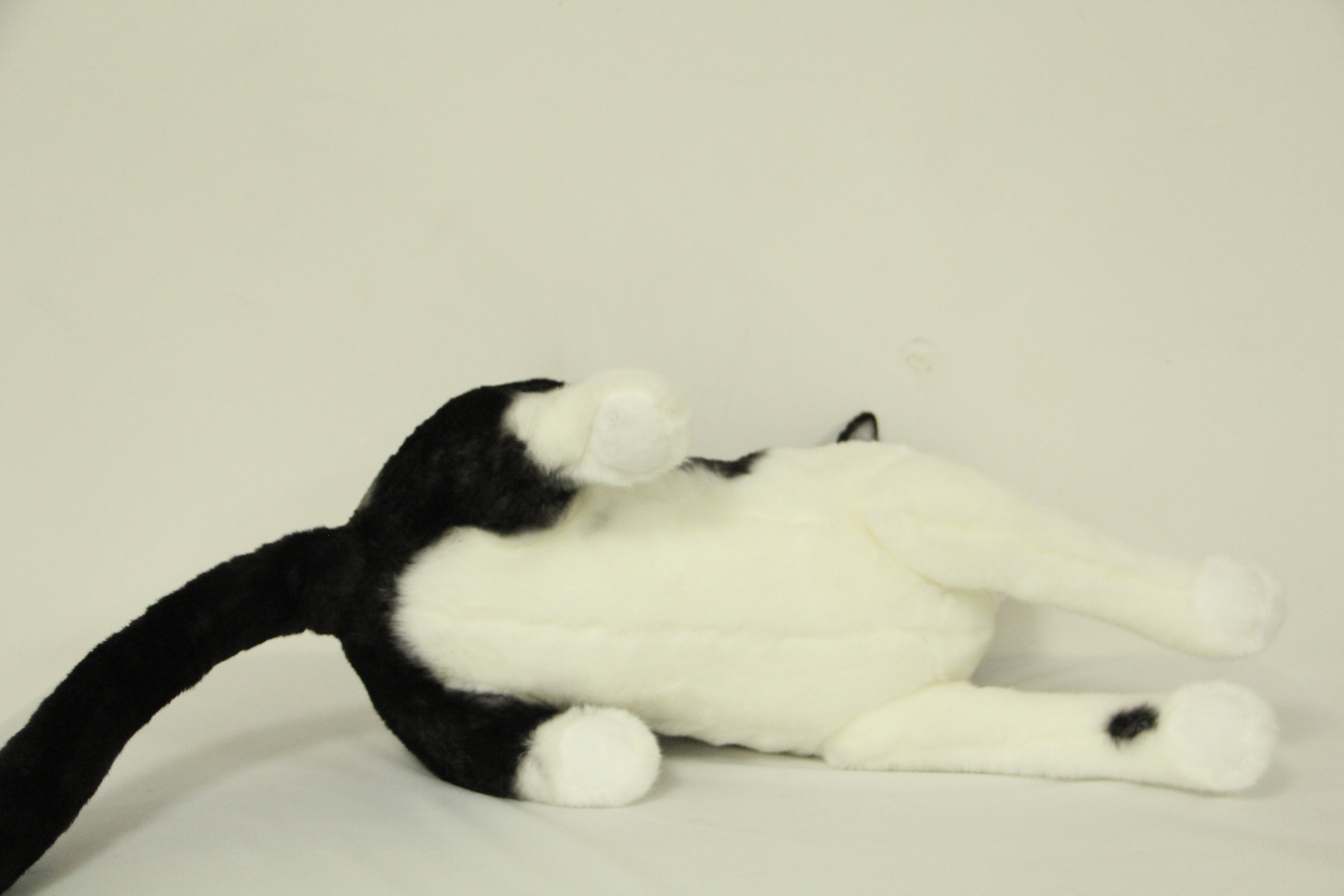 NO.46 black and white short hair cat  21.6inches