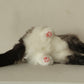 Siamese Cat Longhair MADE-TO-ORDER