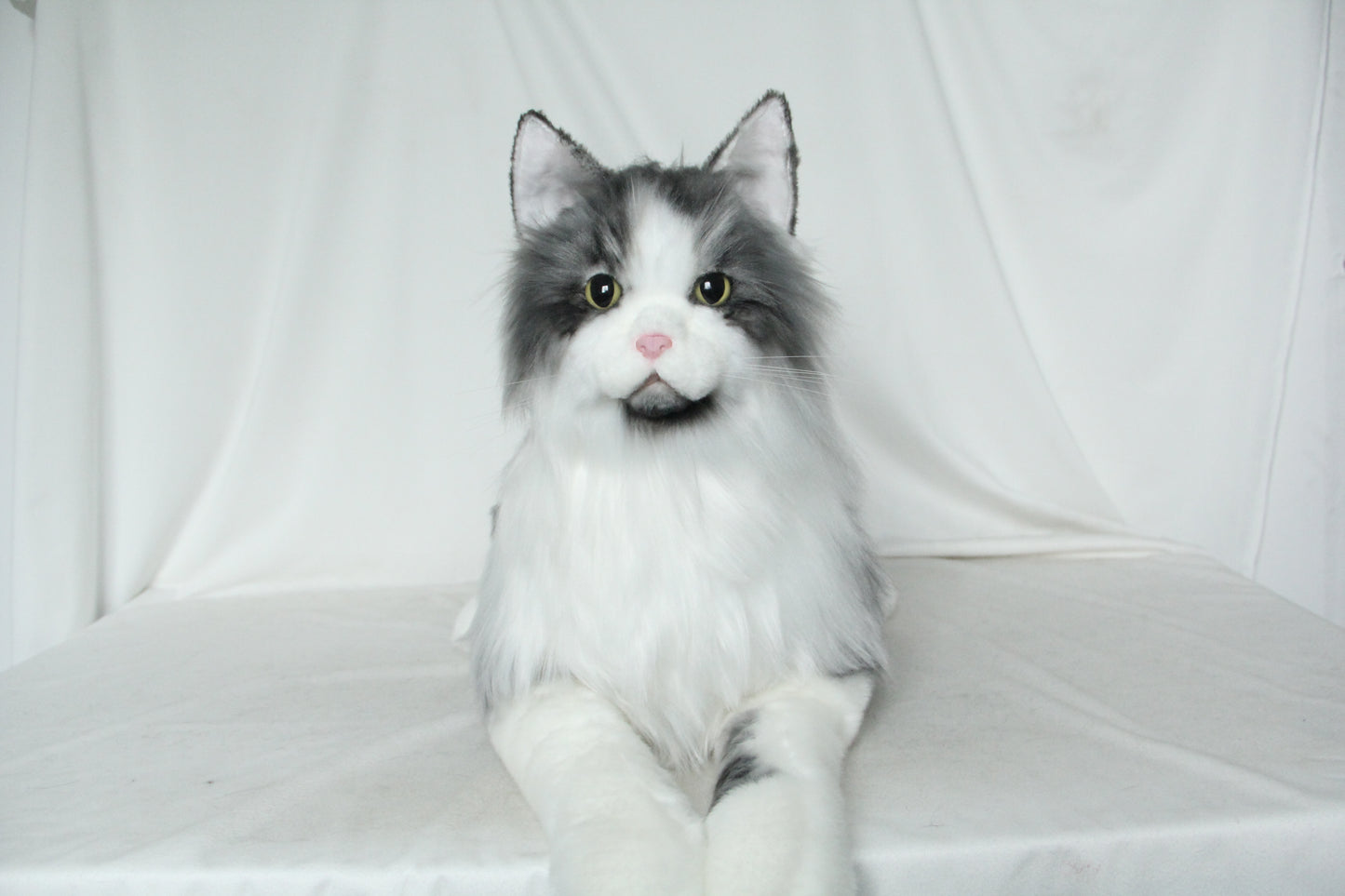 NO.37  55cm  Long-haired gray cat in lying position