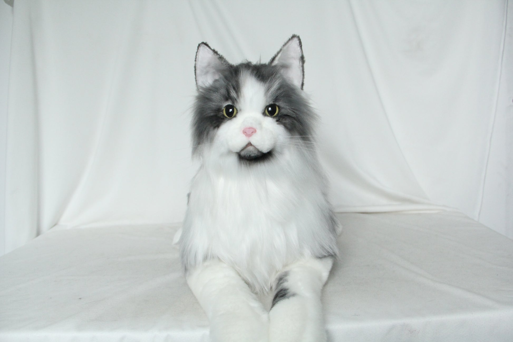 NO.37 55cm Long-haired gray cat in lying position - Chongker