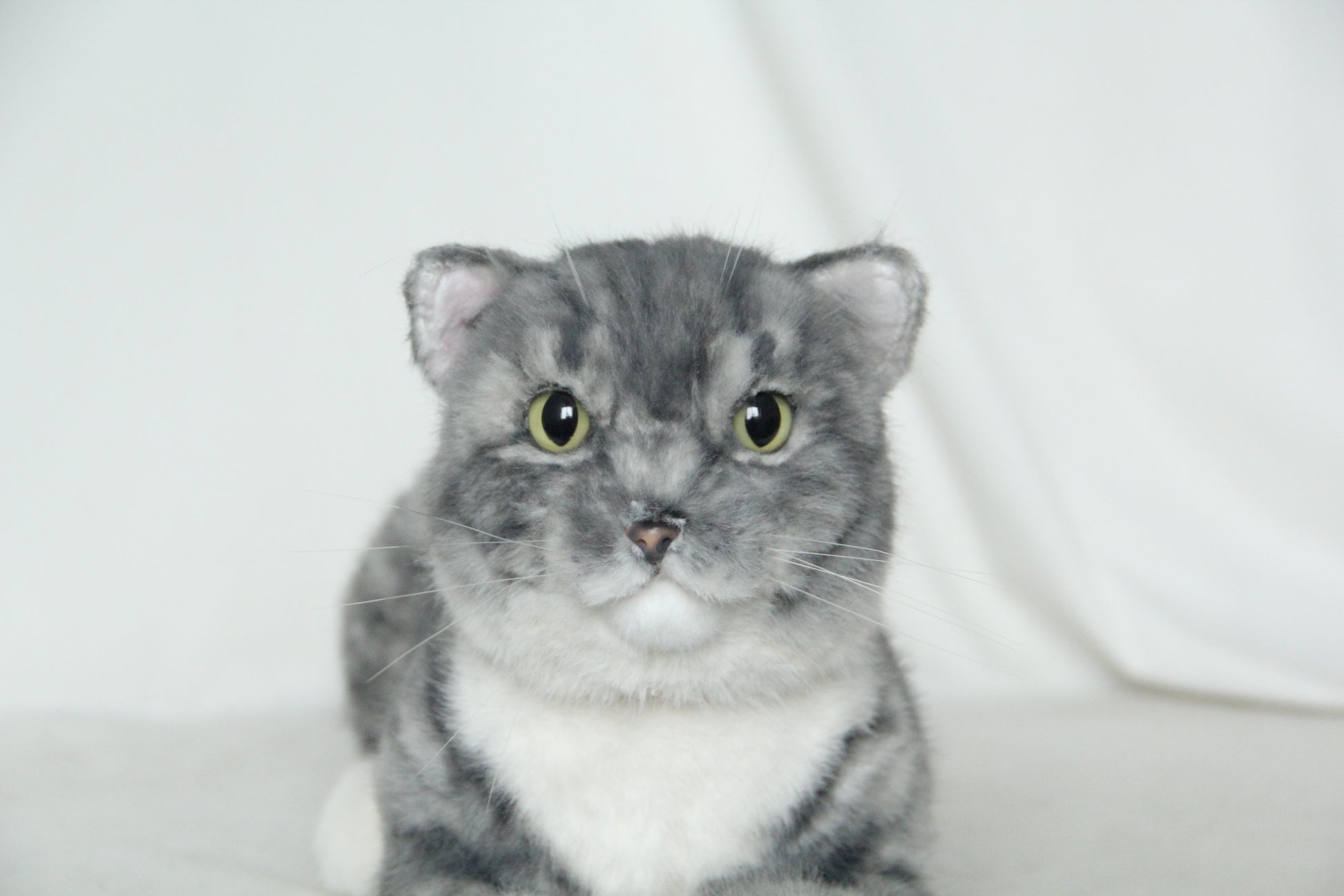 NO.38 Grey striped kitten - Chongker