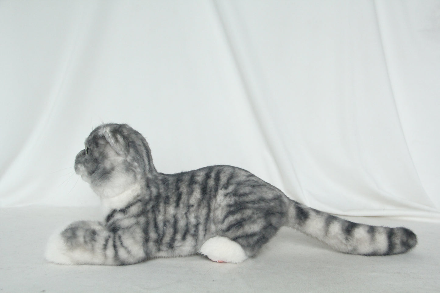 NO.38 Grey striped kitten