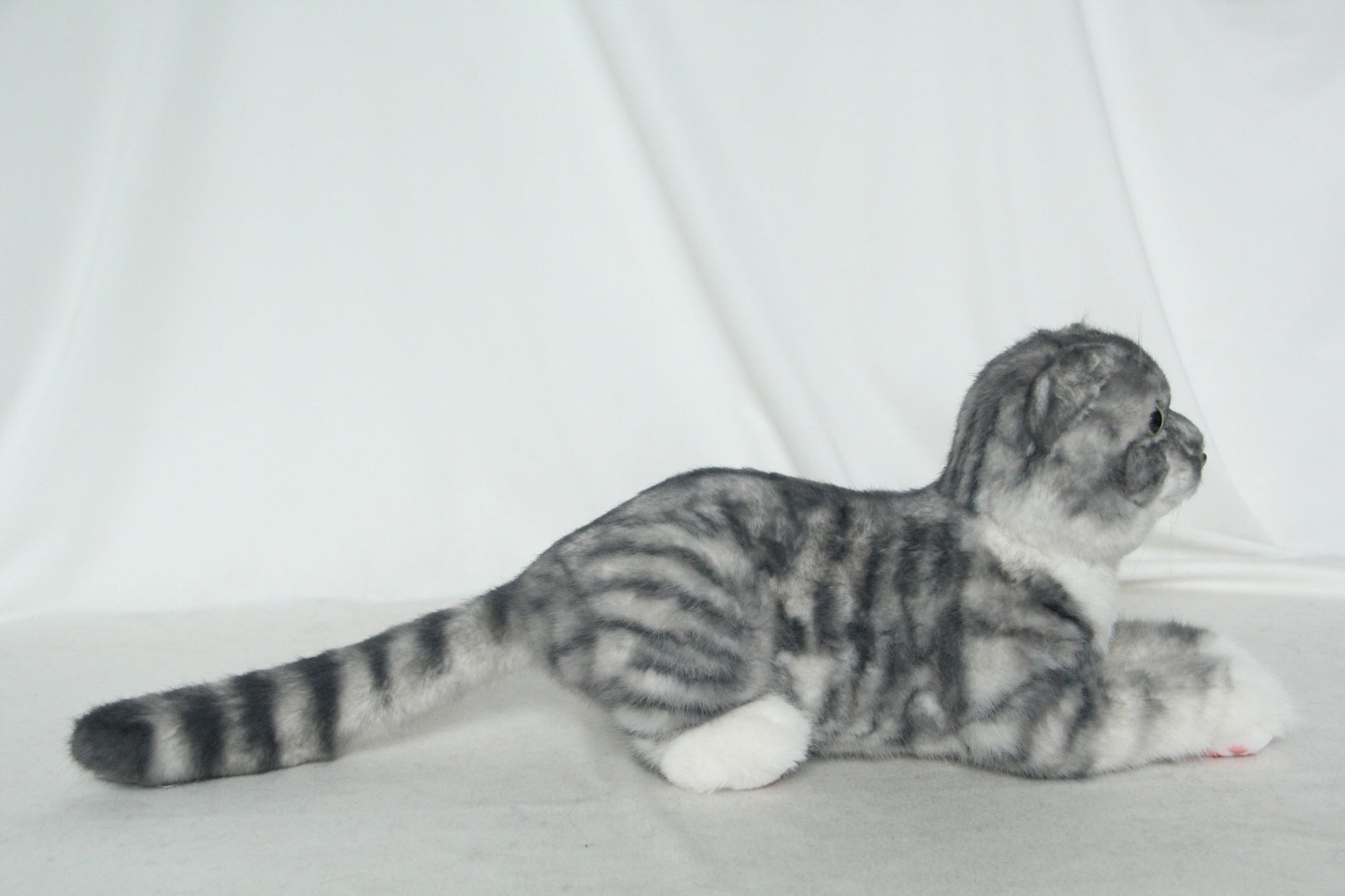 NO.38 Grey striped kitten - Chongker