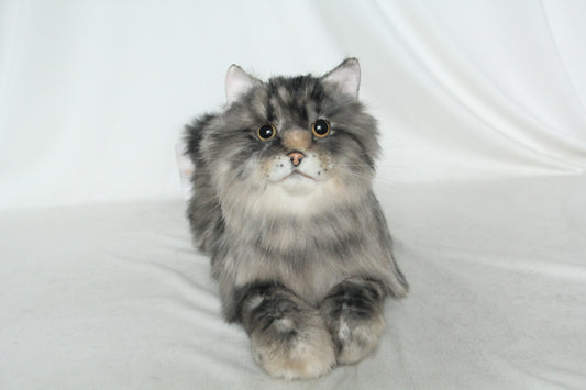 NO.41 Long-haired brown striped cat