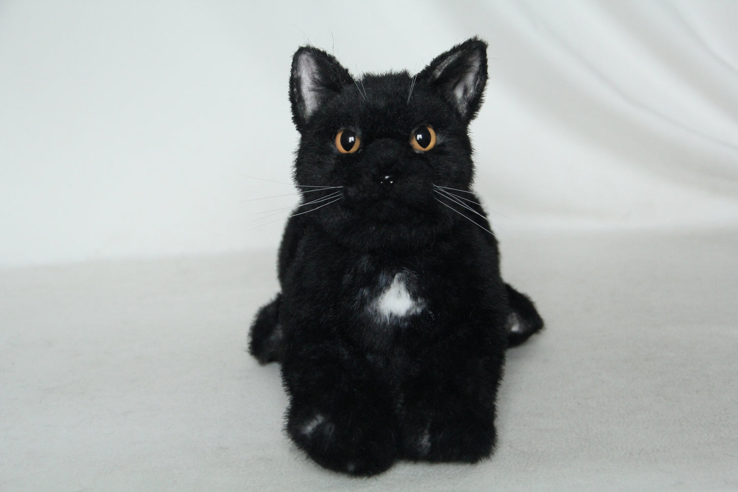 NO.40 Black Shorthair Cat - Chongker
