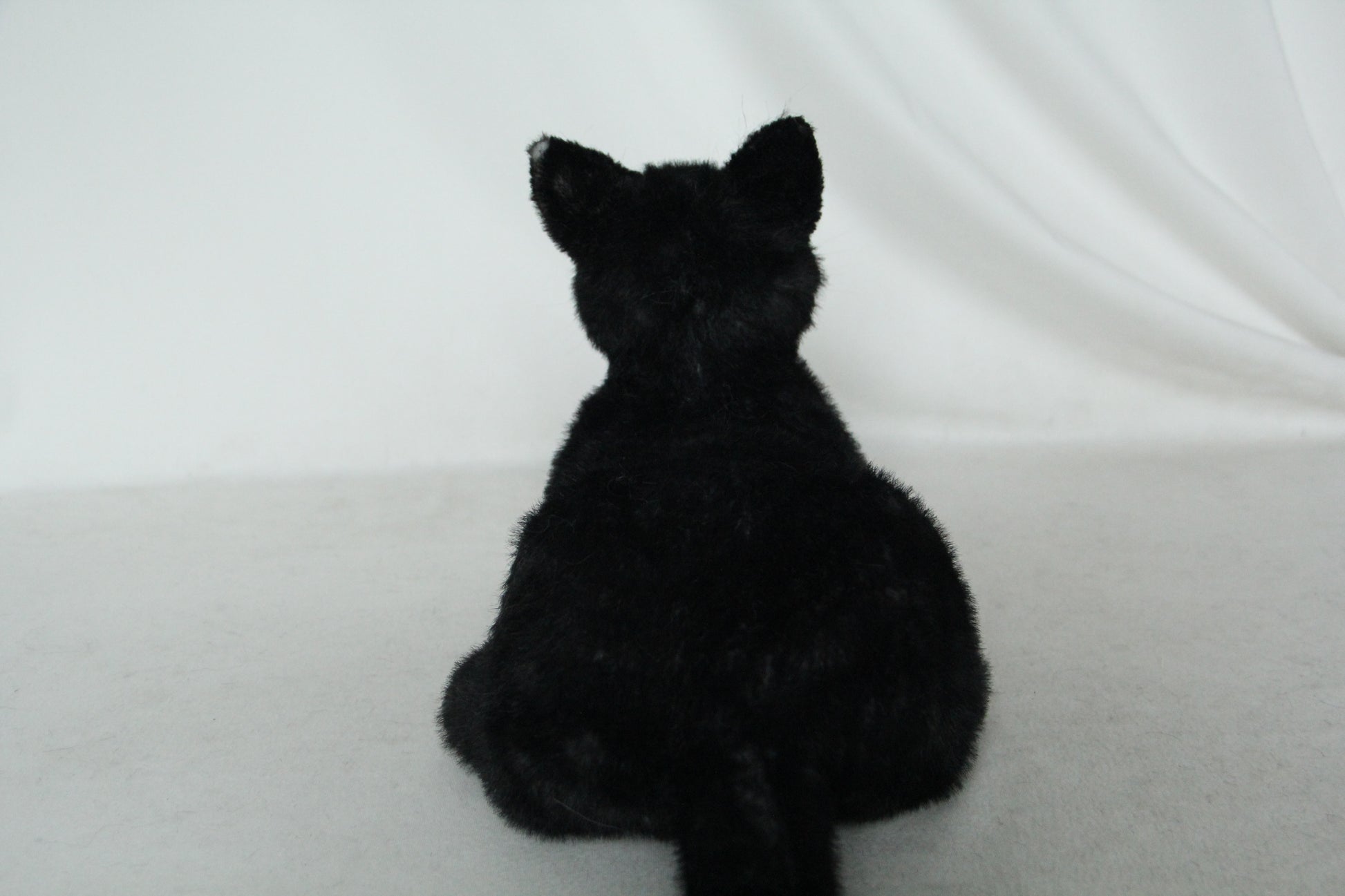 NO.40 Black Shorthair Cat - Chongker