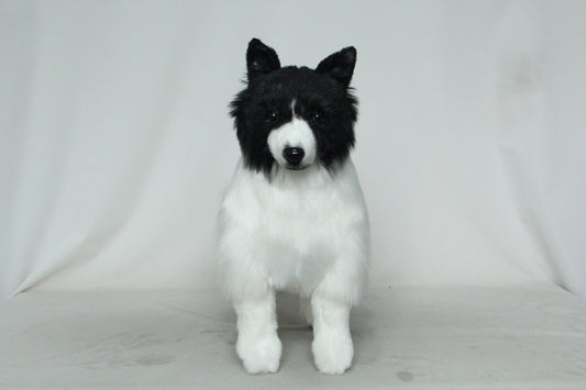 NO.64  black and white dog