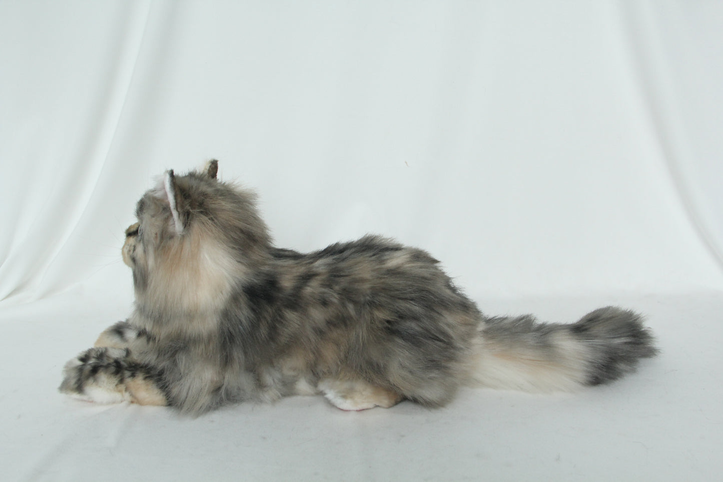 Li-Hua Cat Longhair Order to Make