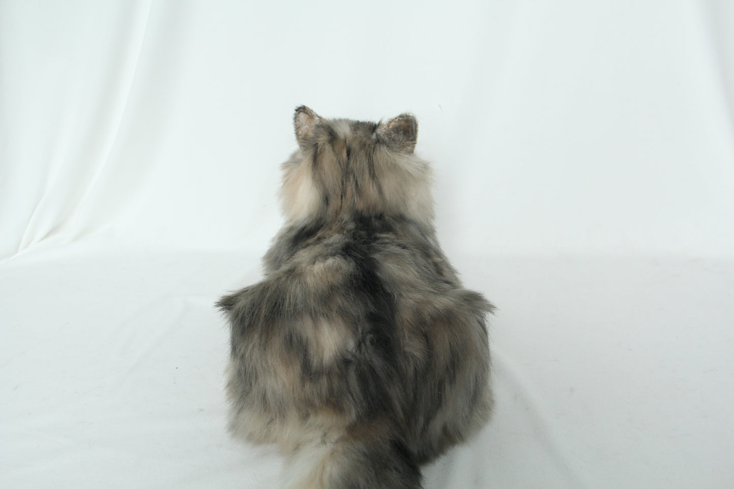 Li-Hua Cat Longhair Order to Make