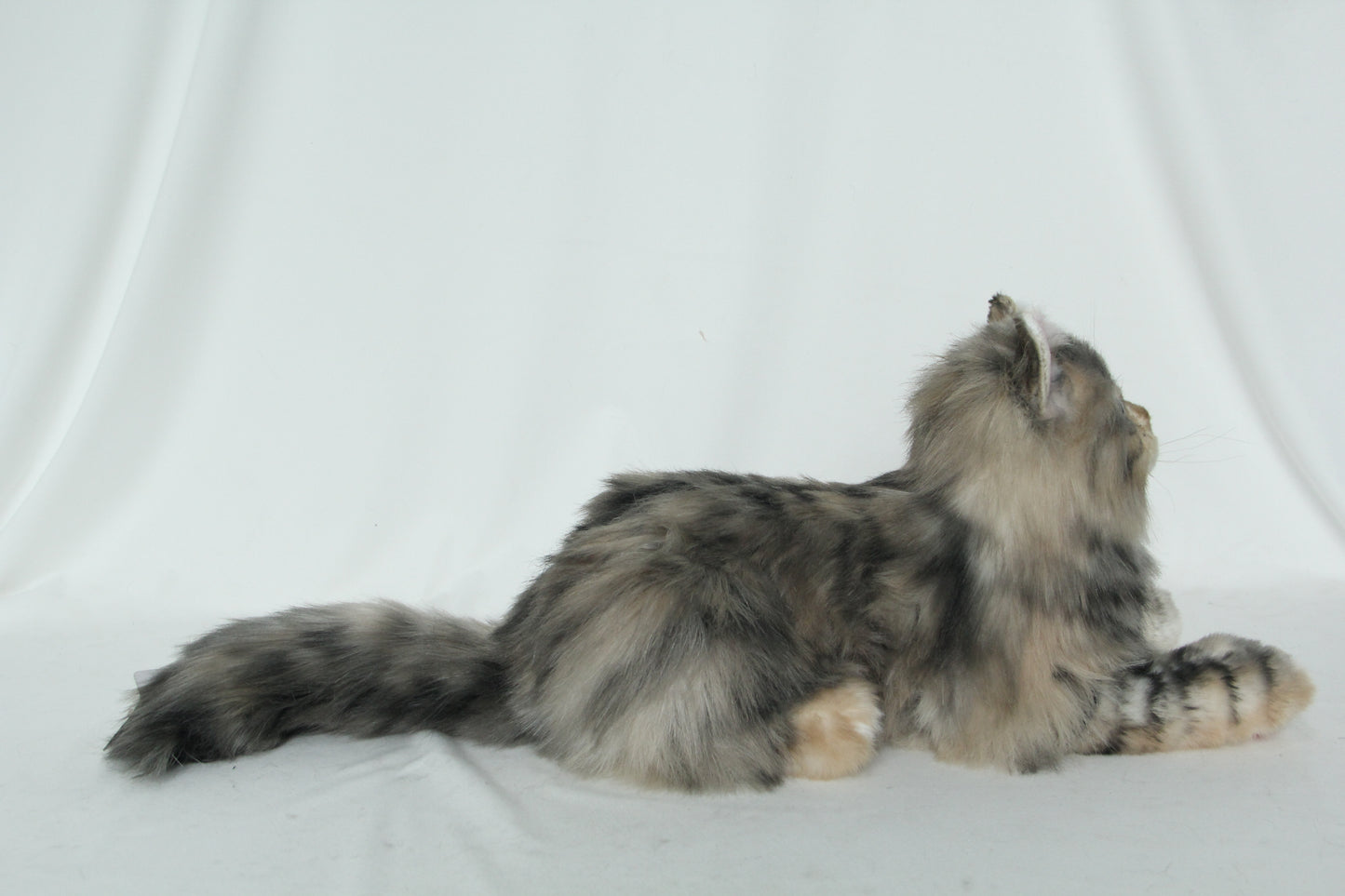 Li-Hua Cat Longhair Order to Make