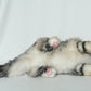 Li-Hua Cat Longhair Order to Make
