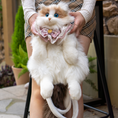 Load image into Gallery viewer, Ragdoll Cat Backpack – Cozy Companion for Travel & School
