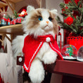 Load image into Gallery viewer, Ragdoll Weighted Plush – Realistic Cozy Calming Toy
