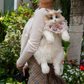 Creative Cat Backpacks Wearable Fashion Companion Pet