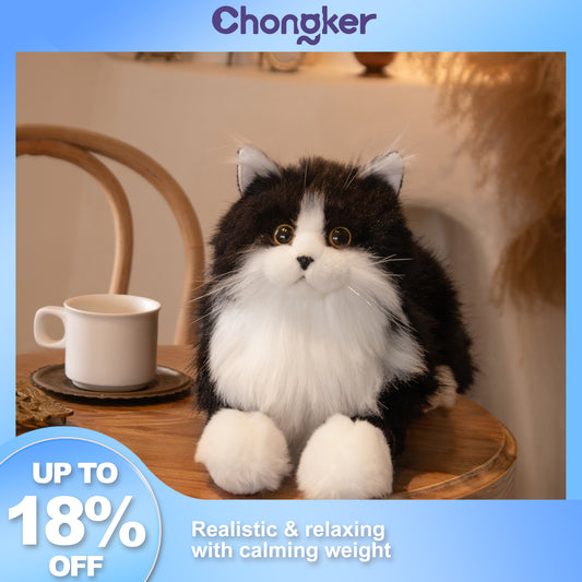 ウェイト付き黒猫（4.5LB） 
