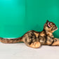 Leopard Cat Order to Make