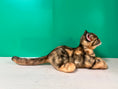 Load image into Gallery viewer, Leopard Cat Order to Make

