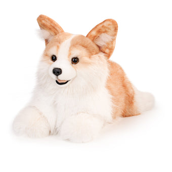 compare product Corgi Dog Plush – Soft Gift for Dog Lovers & Kids