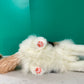 Calico Cat Order to Make