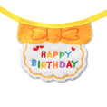 Load image into Gallery viewer, Birthday Bib and Hat- Decorations for Cats & Dogs
