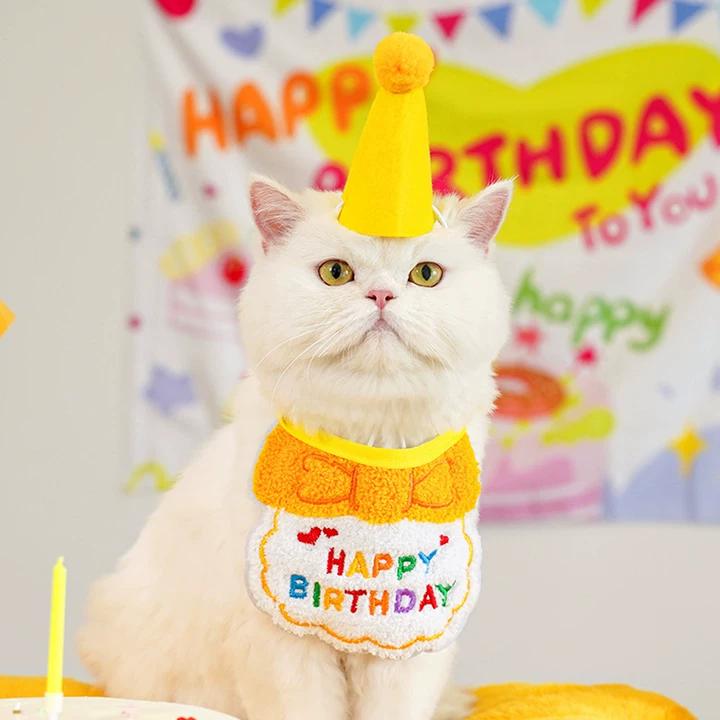 Birthday Bib and Hat- Decorations for Cats & Dogs