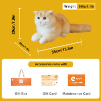 Gato de peluche de pelo corto inglés dorado – Juguete de apoyo emocional ponderado