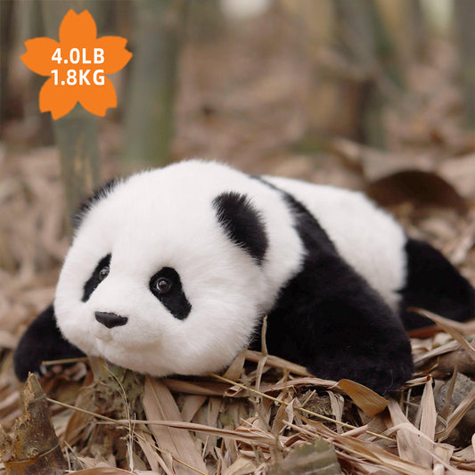 Panda Menglan Weighted 4lb/1.8kg