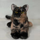 Plush Tortoiseshell Cat Shorthair Order to Make