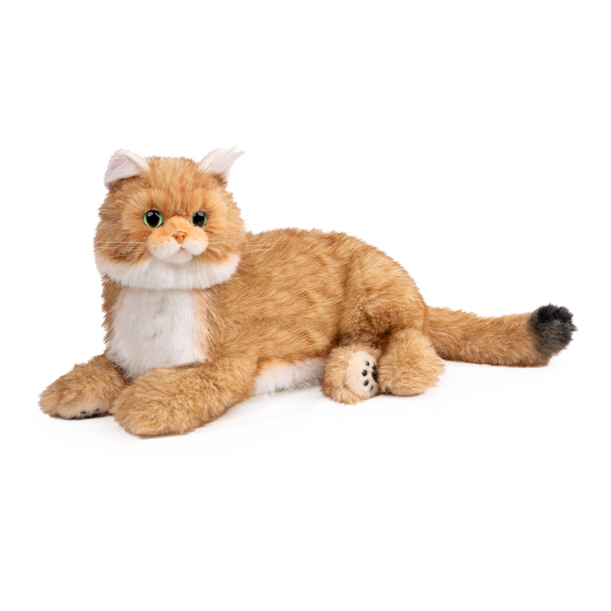 Percy 2.0 Golden British Short Hair Cat- Breathing  Heartbeat Pur,Voice Robotic Cat