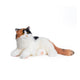 Percy Interactive Robot Cat Companion for Seniors