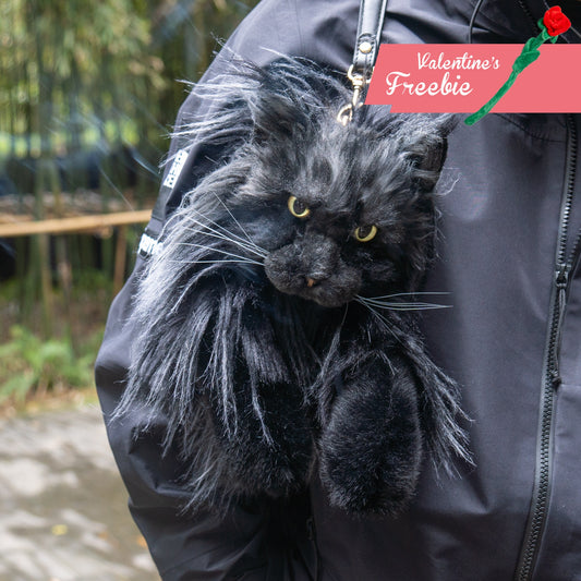 Maine Coon Cat Backpack