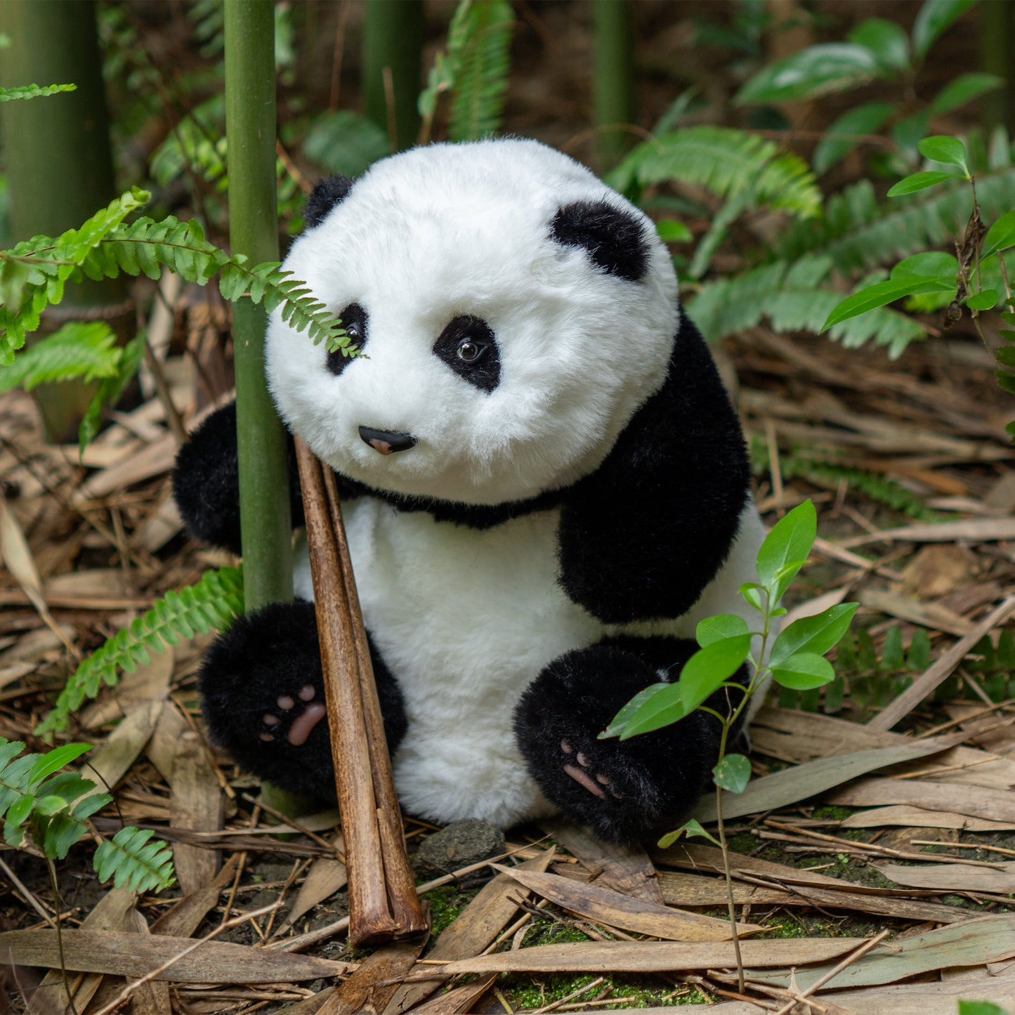 Mini Panda Sitting