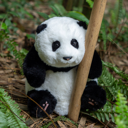 Mini Panda Sitting