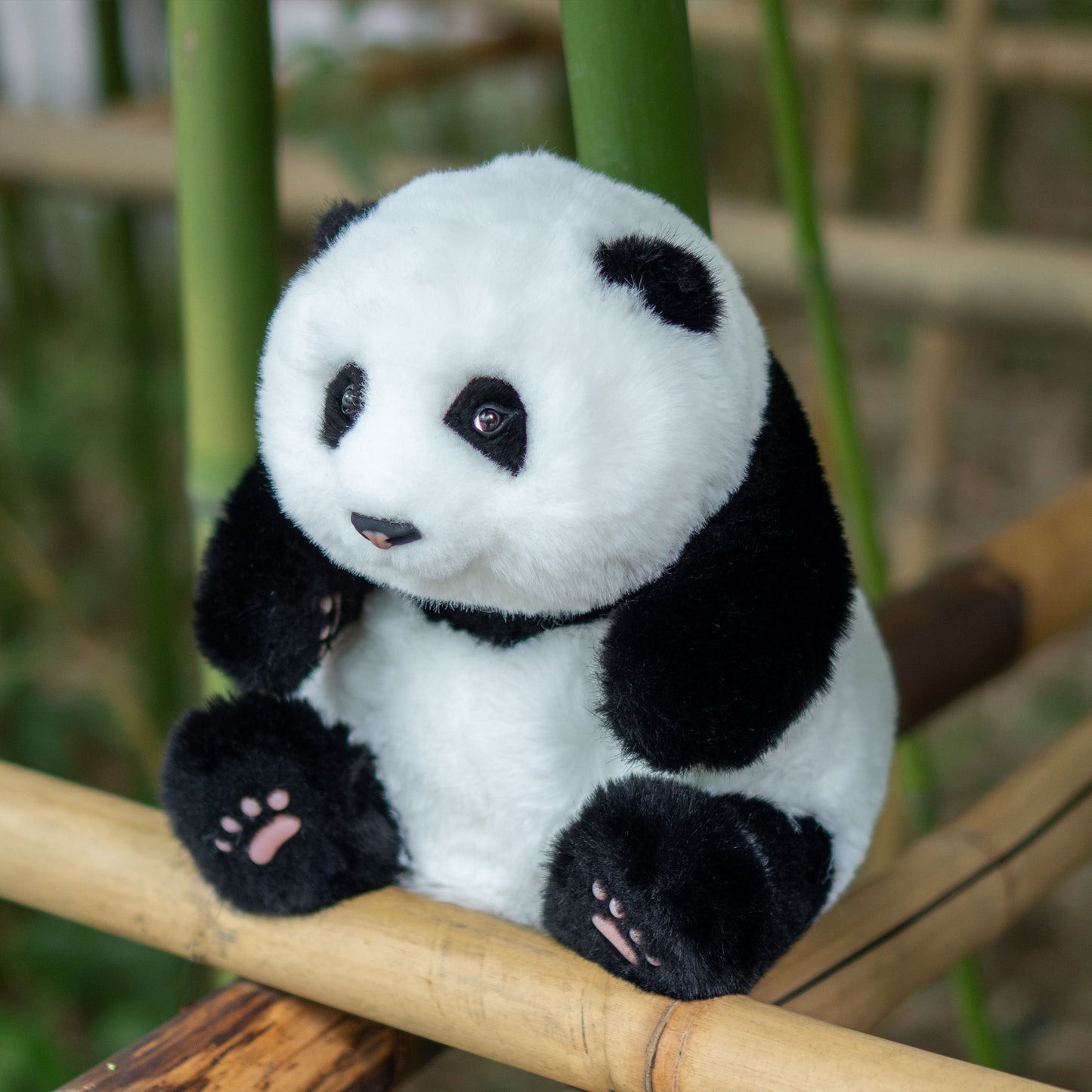 Mini Panda Sitting