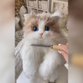 Load and play video in Gallery viewer, Ragdoll Cat Backpack – Cozy Companion for Travel & School

