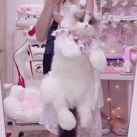 Ragdoll Cat Backpack – Cozy Companion for Travel & School