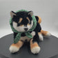 Black Shiba Inu Dog