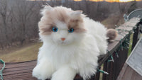روبوت القطة MateCat1.1 – لعبة رفيقة للراحة الحسية