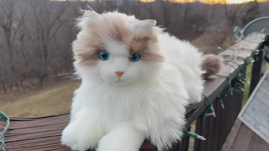 Percy Companion-MateCat1.1 Robot Cat – Companion Toy for Sensory Comfort