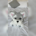 Load and play video in Gallery viewer, Schnauzer Backpack – Plush Dog Bag for Puppy Lovers & Kids
