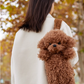 Chongker Backpack Plush Teddy Dog Handmade Realistic Plush Gift for Women and Kids - Chongker