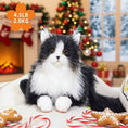 Load image into Gallery viewer, Tuxedo Weighted Plush – Realistic Companion Pet for Adults
