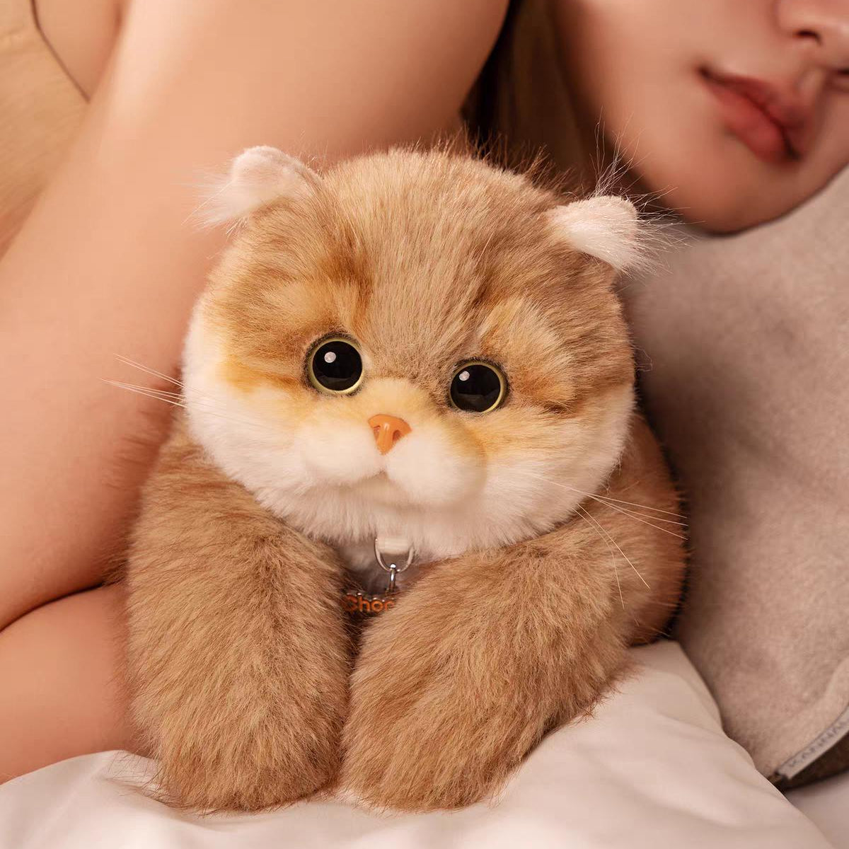 Golden British Shorthair Cat Plush