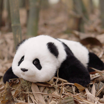 compare product 4lbs Menglan Panda Weighted – Ultra Realistic Collectible Toy