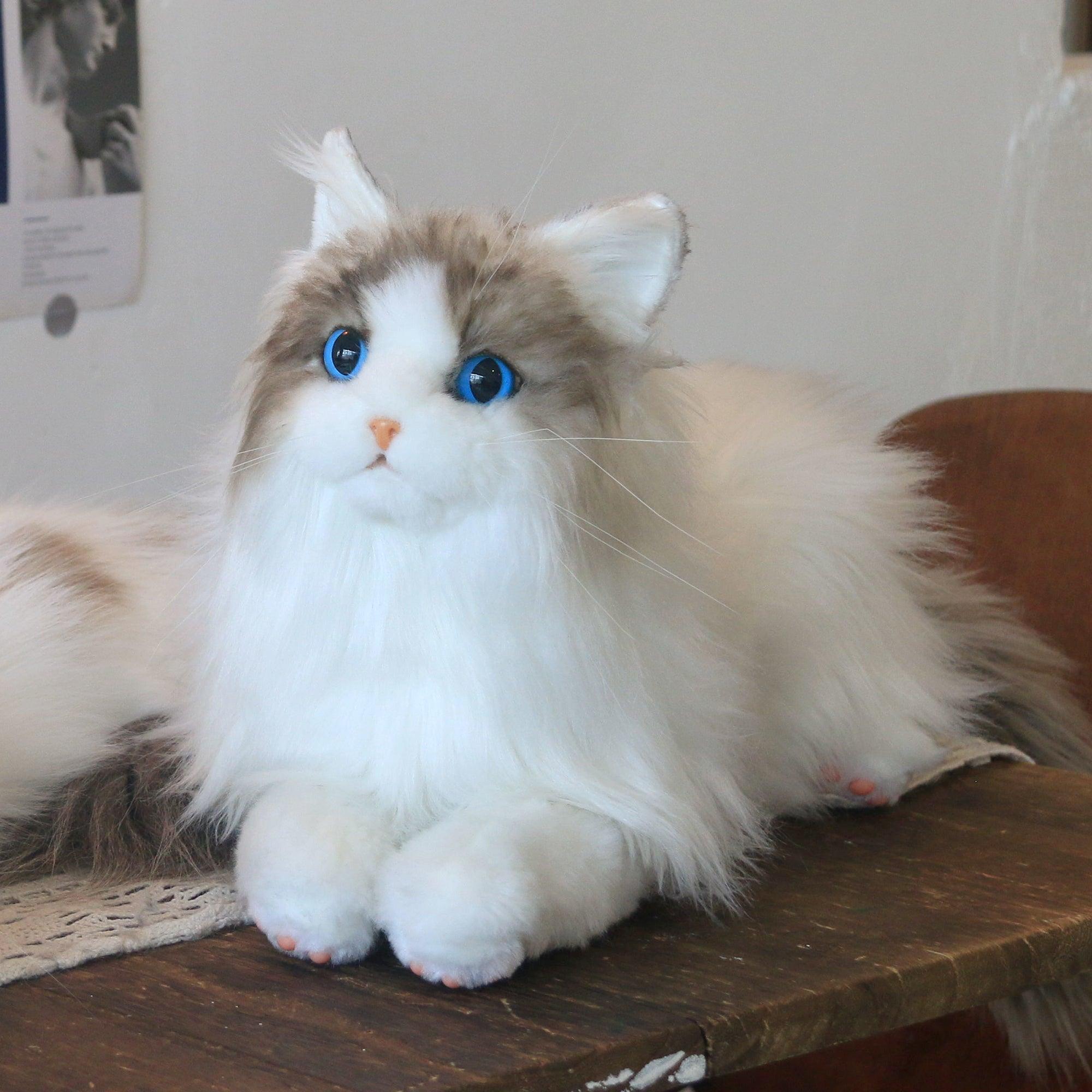 Ragdoll cat store plush