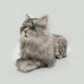NO.18 Grey and Black Cat - Chongker