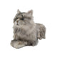 NO.18 Grey and Black Cat - Chongker