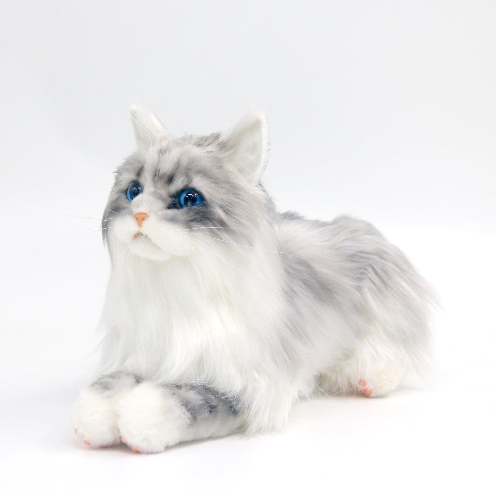 No.1 Grey Hair Cat with Blue Eyes - Chongker