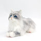 No.1 Grey Hair Cat with Blue Eyes - Chongker
