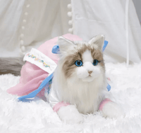 Just a Cat's Accessories, Not Cat‘s Price. - Chongker